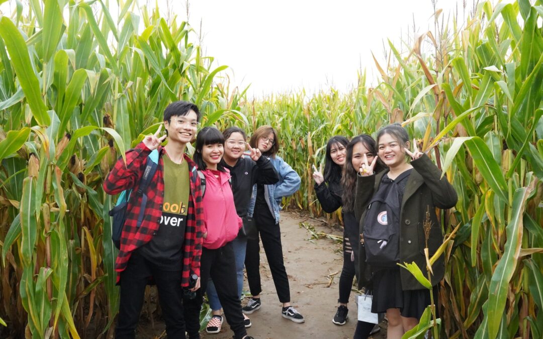 Autumn Farm Trip 2019